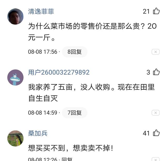 两亩泥鳅养殖利润分析,能否赚得1万块?